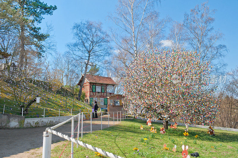 Easteregg tree 'Eierbaum'，有9800个蛋。Saalfeld /德国